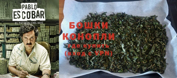 каннабис Аркадак