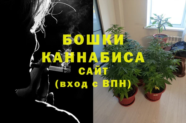 каннабис Аркадак