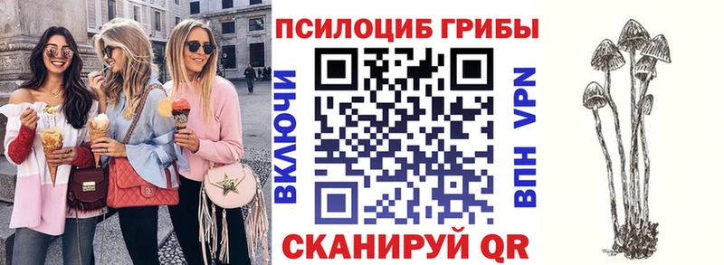 купить наркотики сайты  ОМГ ОМГ ссылка  Псилоцибиновые грибы Cubensis  Калтан 